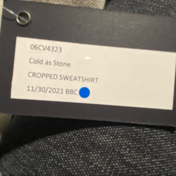 BlankNYC Grey puffy round shoulder cropped hoodie sweatshirt terry lined S NWT - Picture 5 of 5